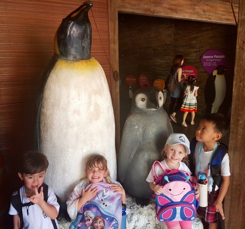 Village Camps International Summer Camp VDC Singapore 2017-07-28 https://www.villagecamps.com/journals_admin/images/1695-9032-IMG_9729 (1024x955).jpg